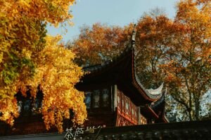 10-Day China Culture Relics Classic Tour