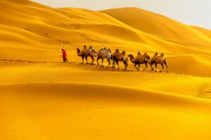 6-Day Xiahe, Langmusi and Zhagana Tour